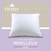 OREILLER FJORD MICRODUV MOELLEUX