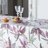 NAPPE ENDUITE PARADIS