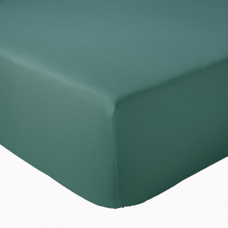 DRAP HOUSSE PERCALE TRADILINGE