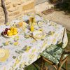LOT DE 2 SERVIETTES DE TABLE JARDIN D'AGRUMES